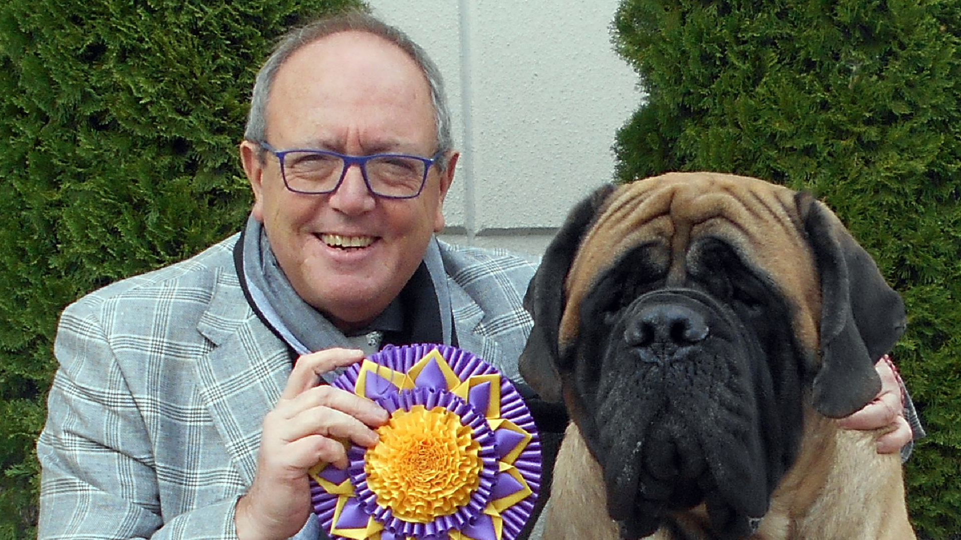 Razas puras, concursos y exposiciones